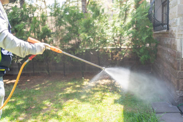 Best Lawn Pest Control  in Rich Hill, MO